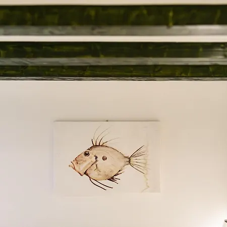 Kaleta House By Duhomes * 杜布罗夫尼克